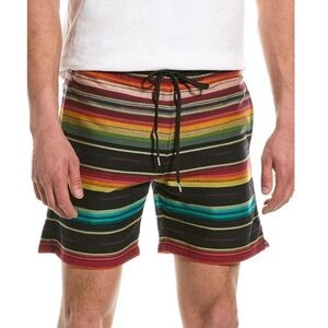 Stampd Mens Striped Colorful Shorts